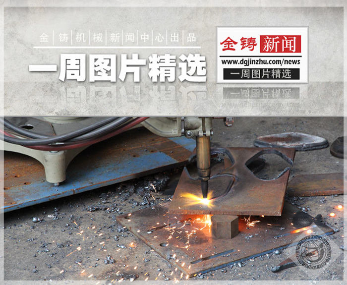 金铸一周动态