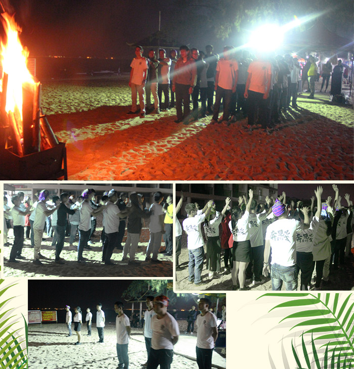 篝火晚会.jpg